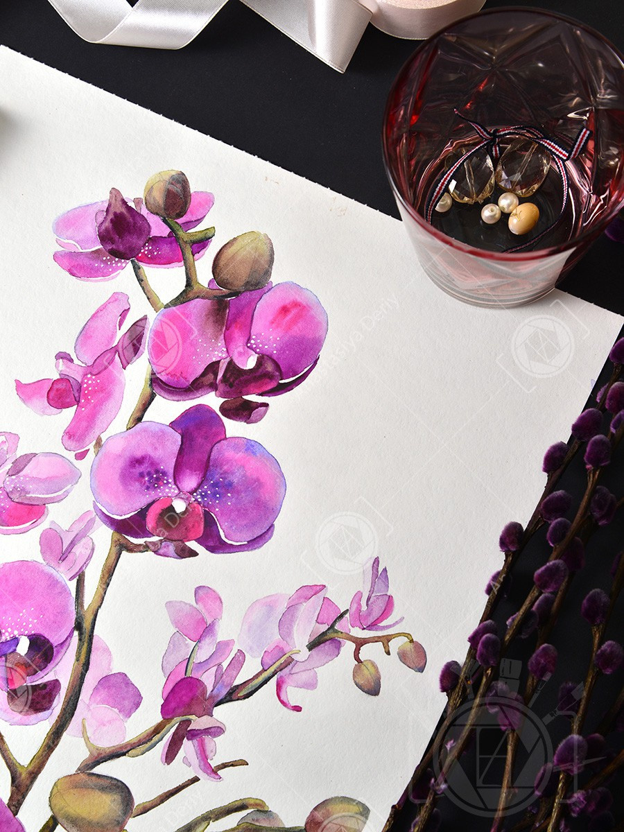 Фиолетовая орхидея. ФотоКисточка. Акварель. Арт-галерея картин Анастасии Дерий