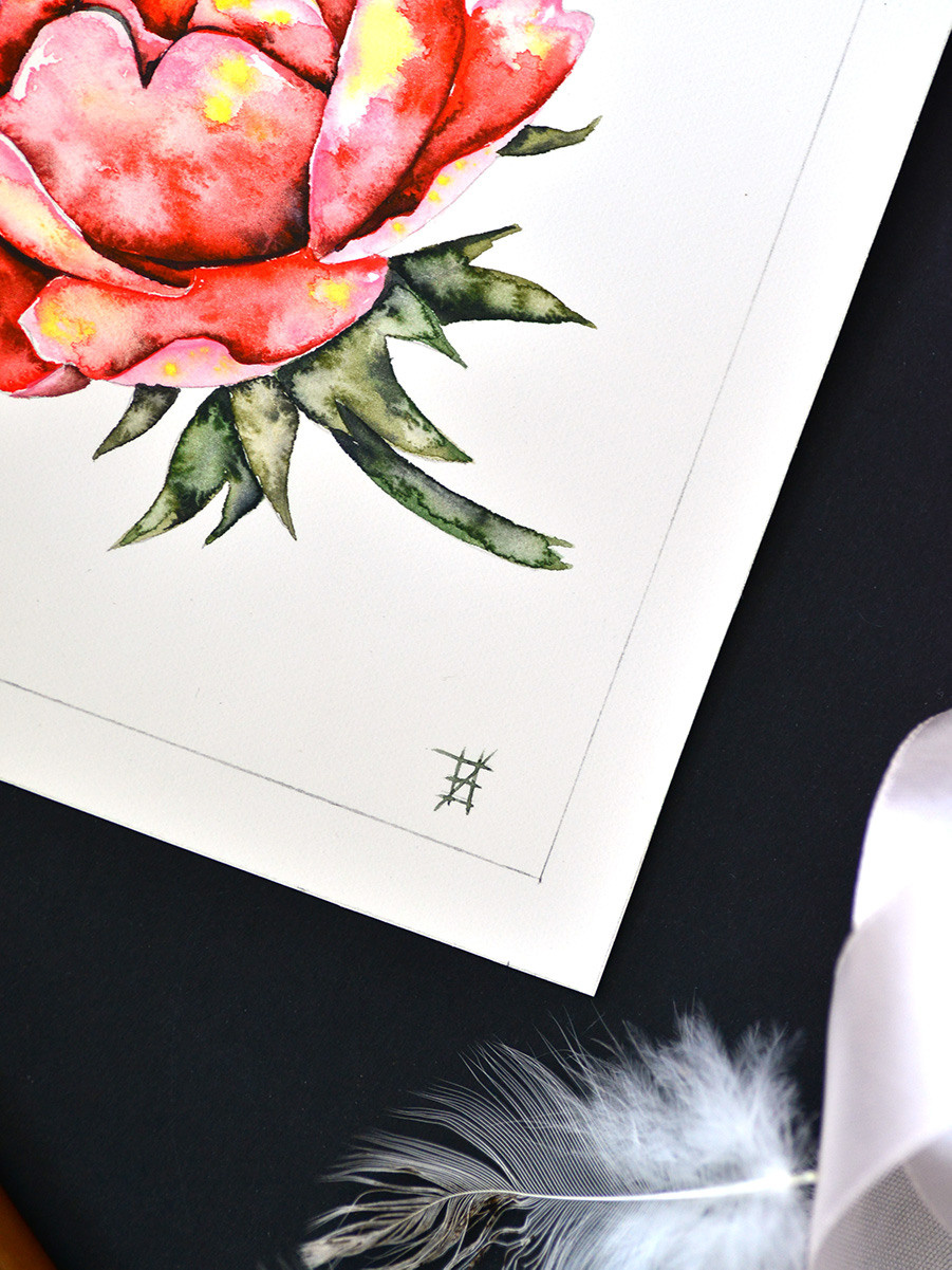 Алая роза. ФотоКисточка. Акварель. Арт-галерея картин Анастасии Дерий