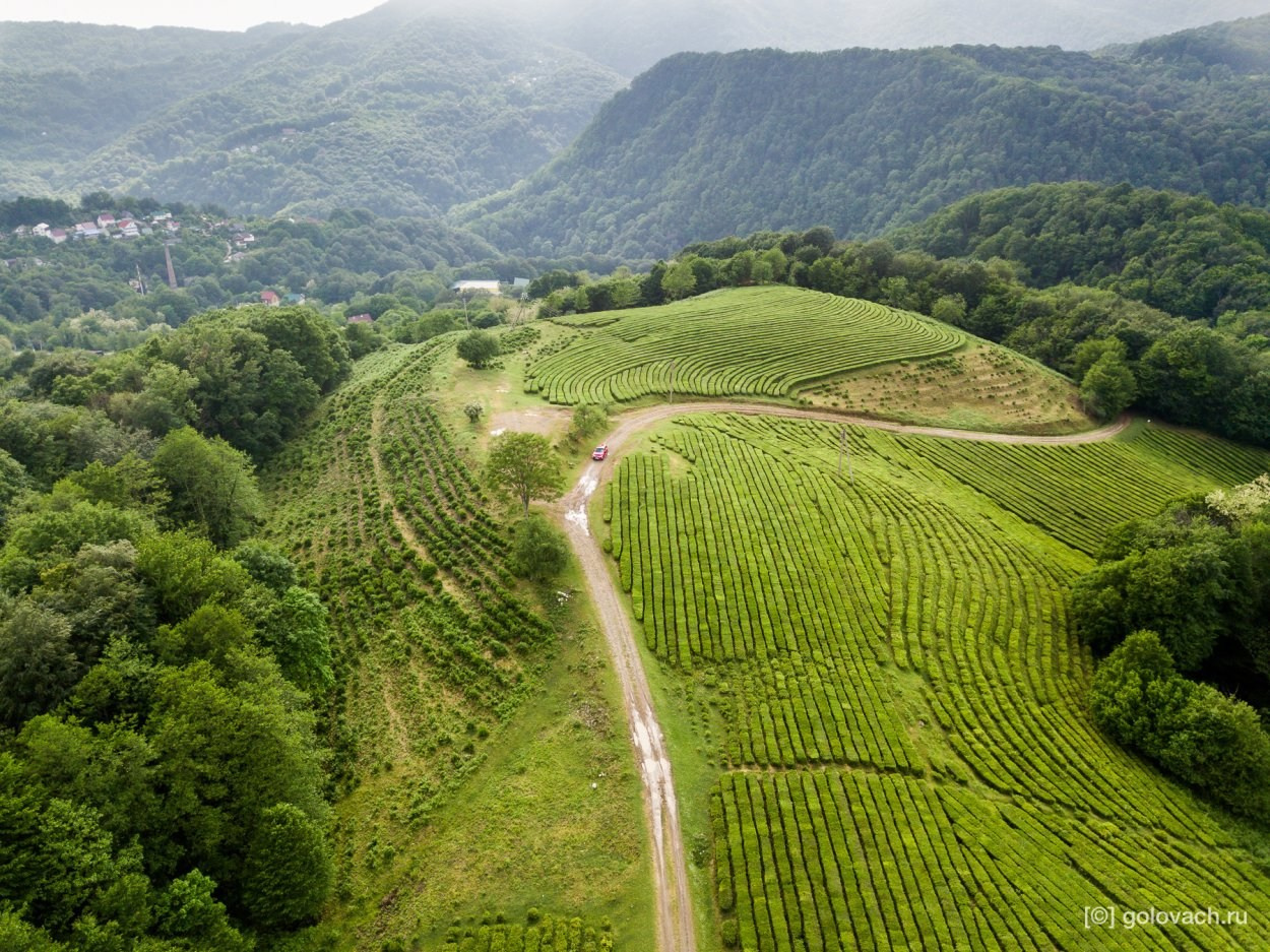 КРАСИВЫЕ МЕСТА В СОЧИ. Свадебный и семейный фотограф/видеограф в Краснодаре Наталья Осинская