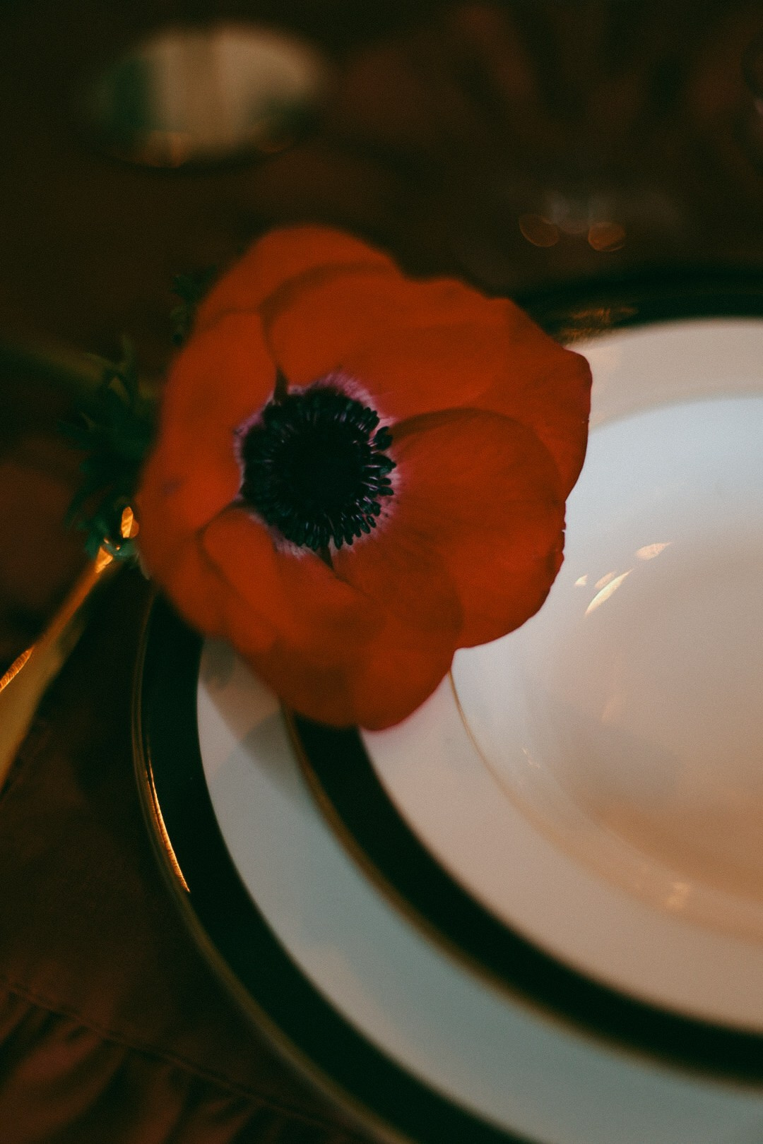 Денис и Оля. Фотограф Нижний Новгород