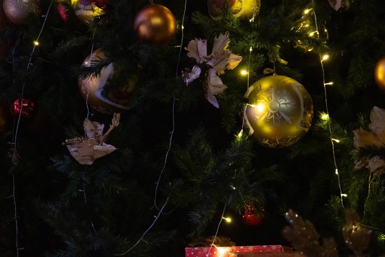 Отзывы. Фотограф и видеооператор Кривов Павел