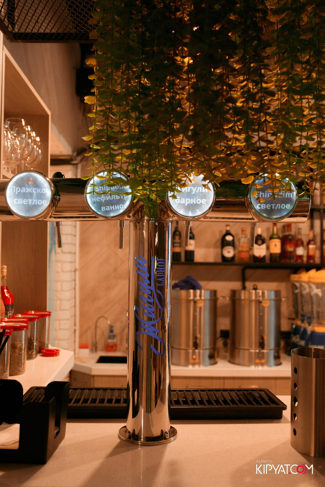 SHIPUDIM НА АБЫЛАЙ ХАНА. КИПЯТКОМ АЛМАТЫ!