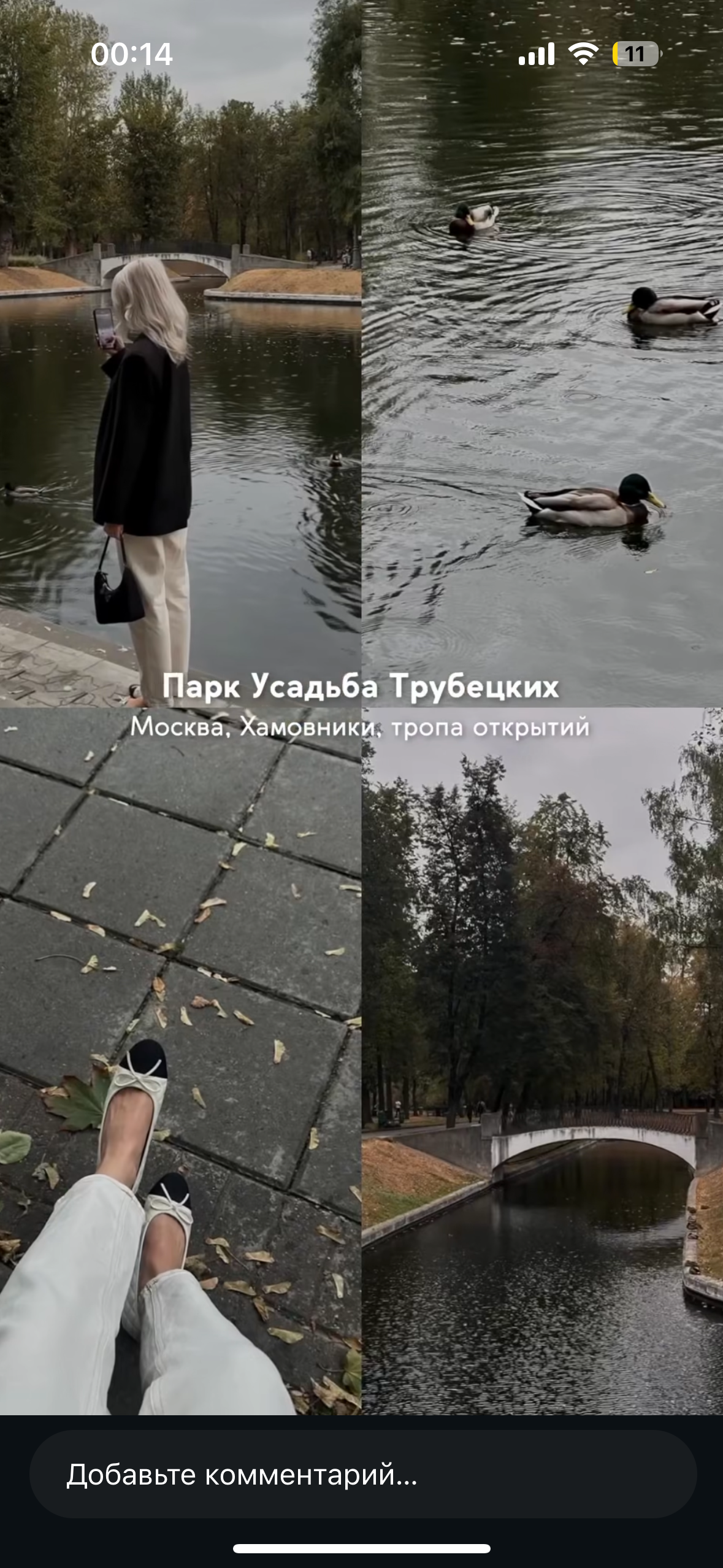Городские. Фотограф Светлана Мерзлякова