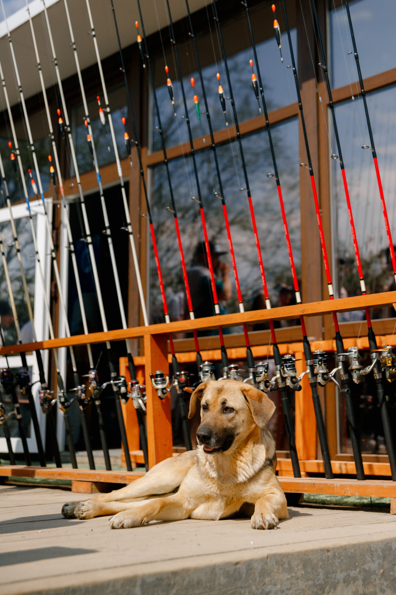 Bizpeople Family Day. Репортажный фотограф в Санкт-Петербурге Жолудев Владислав
