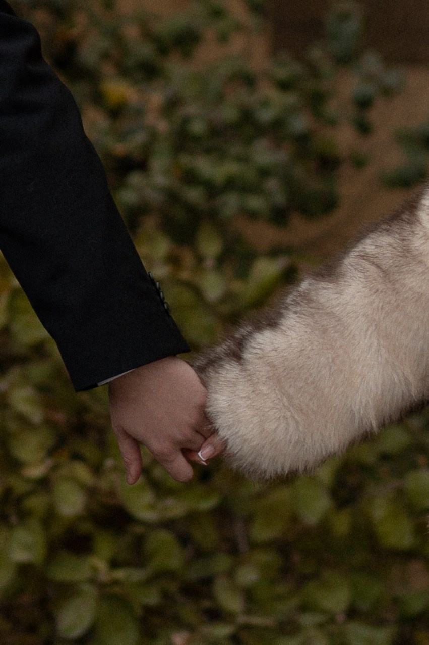 Счастье на троих. Свадебный и репортажный фотограф Москва