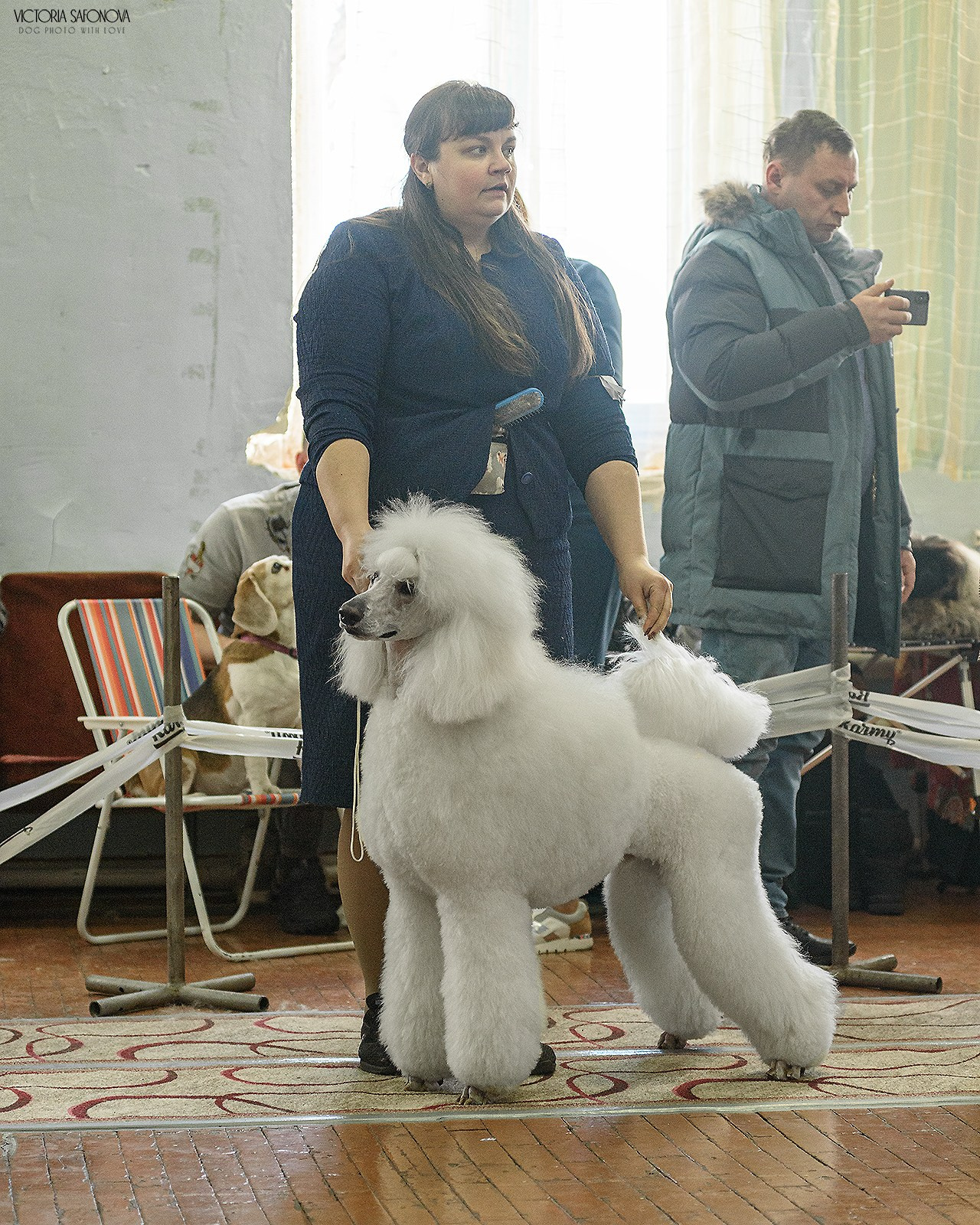 3–4 февраля 2024 Благовещенск. Фотограф анималист Благовещенск. Сафонова Виктория