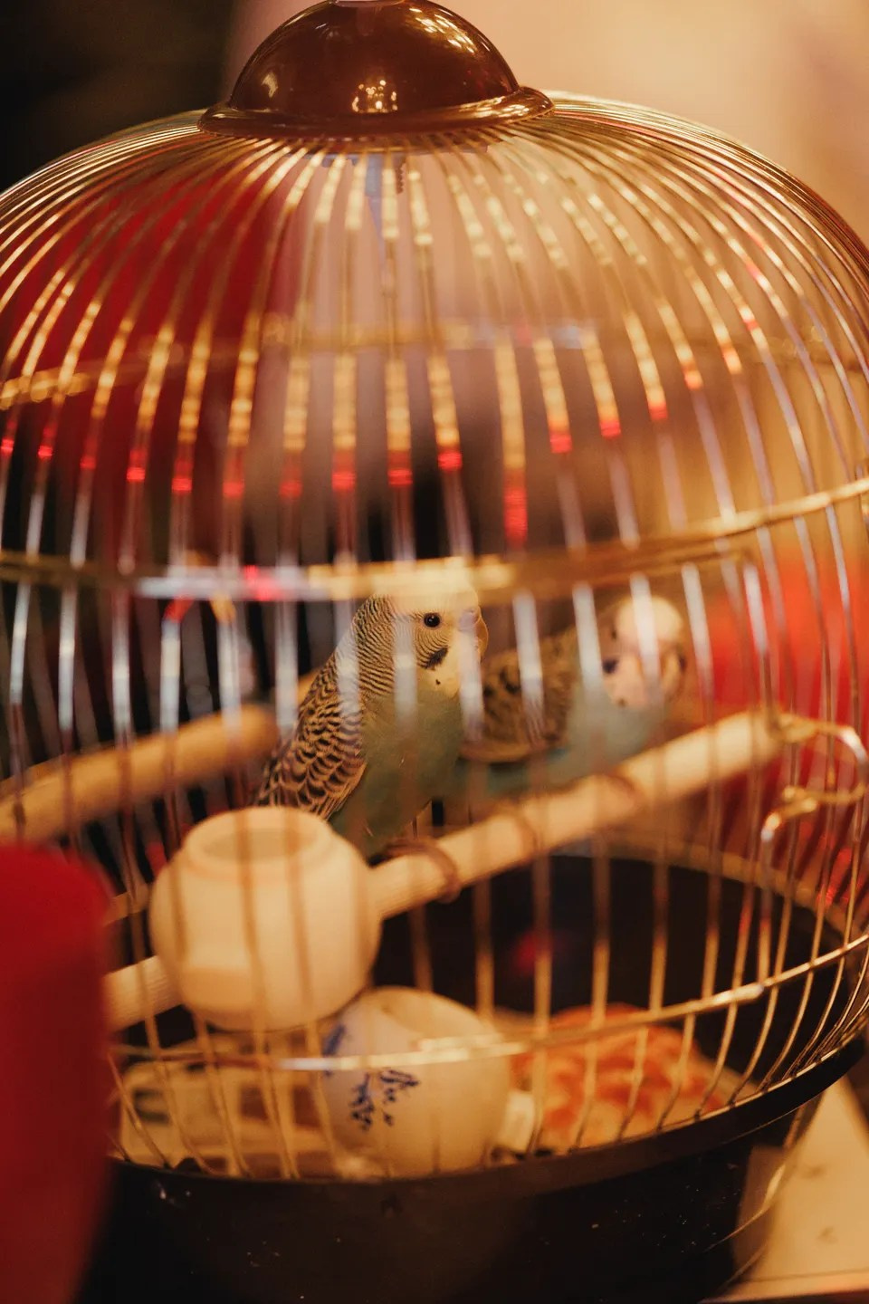 «Три товарища». Режиссёр Даниил Филиппович