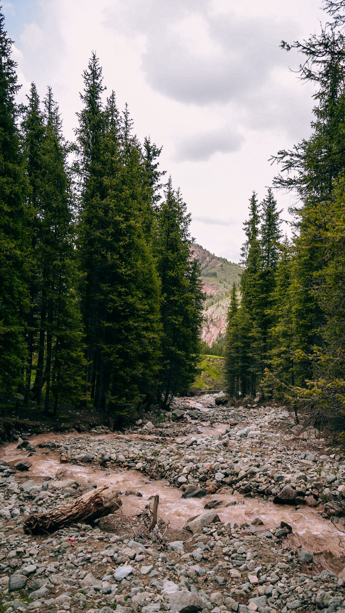 Кыргызстан. Человек с фотокамерой