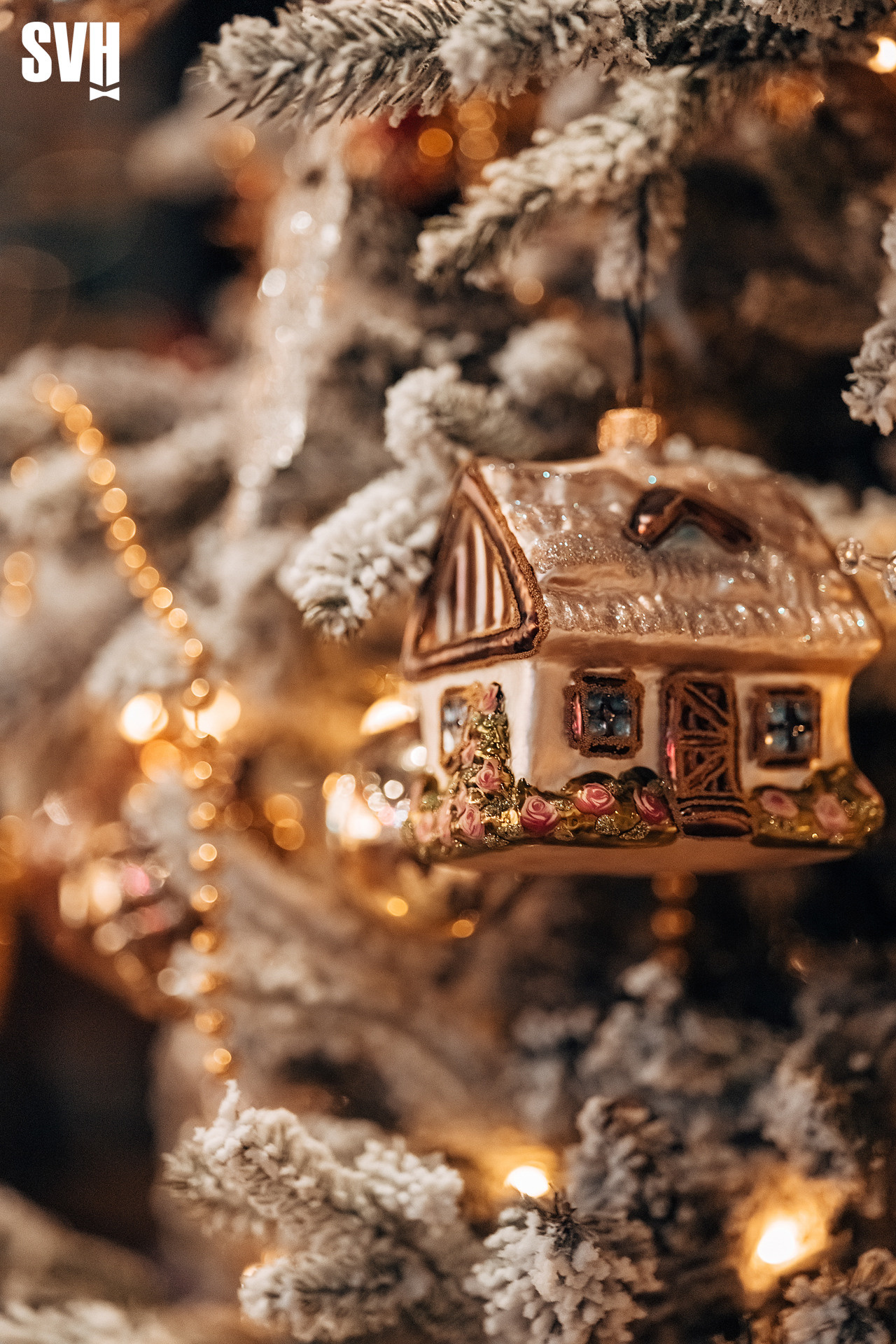 Репортажный фотограф