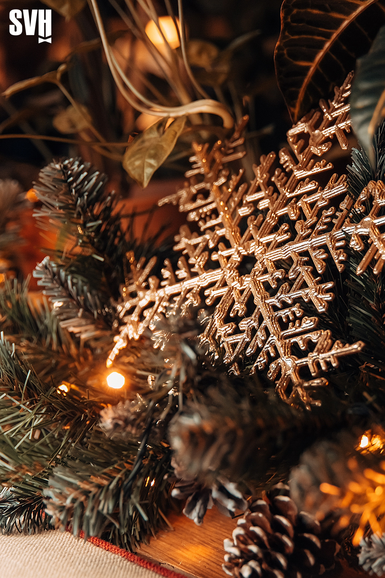 Репортажный фотограф