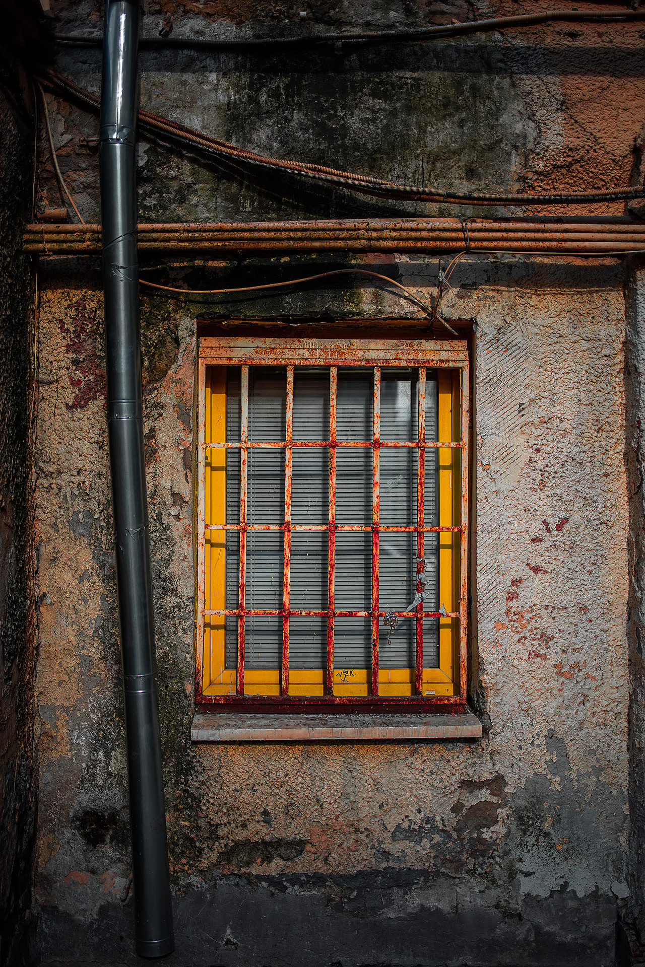 Street и путешествия