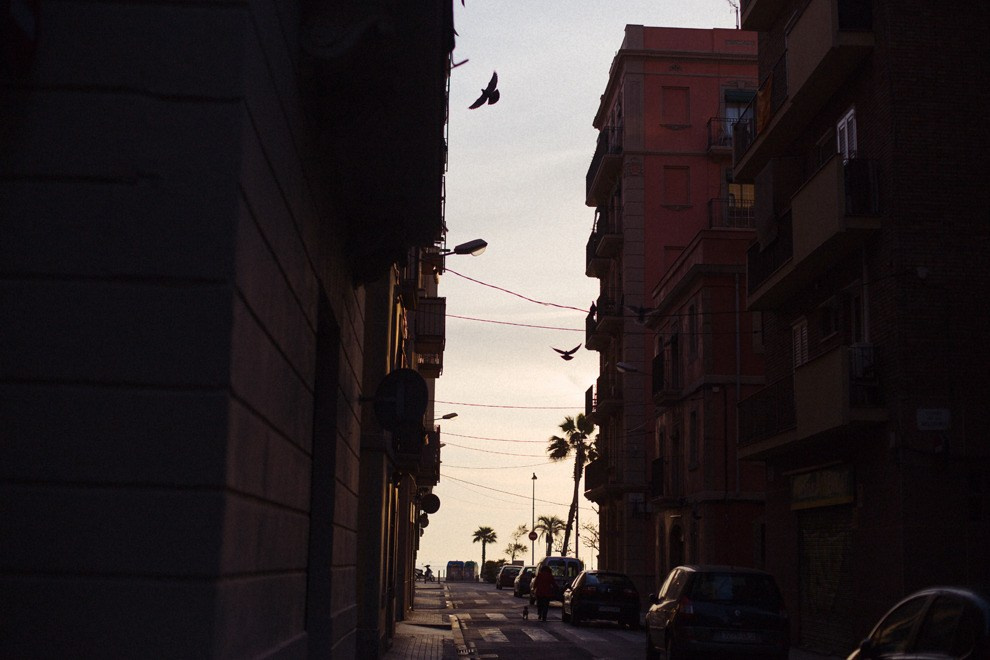 Random photo roulette. Bivol images