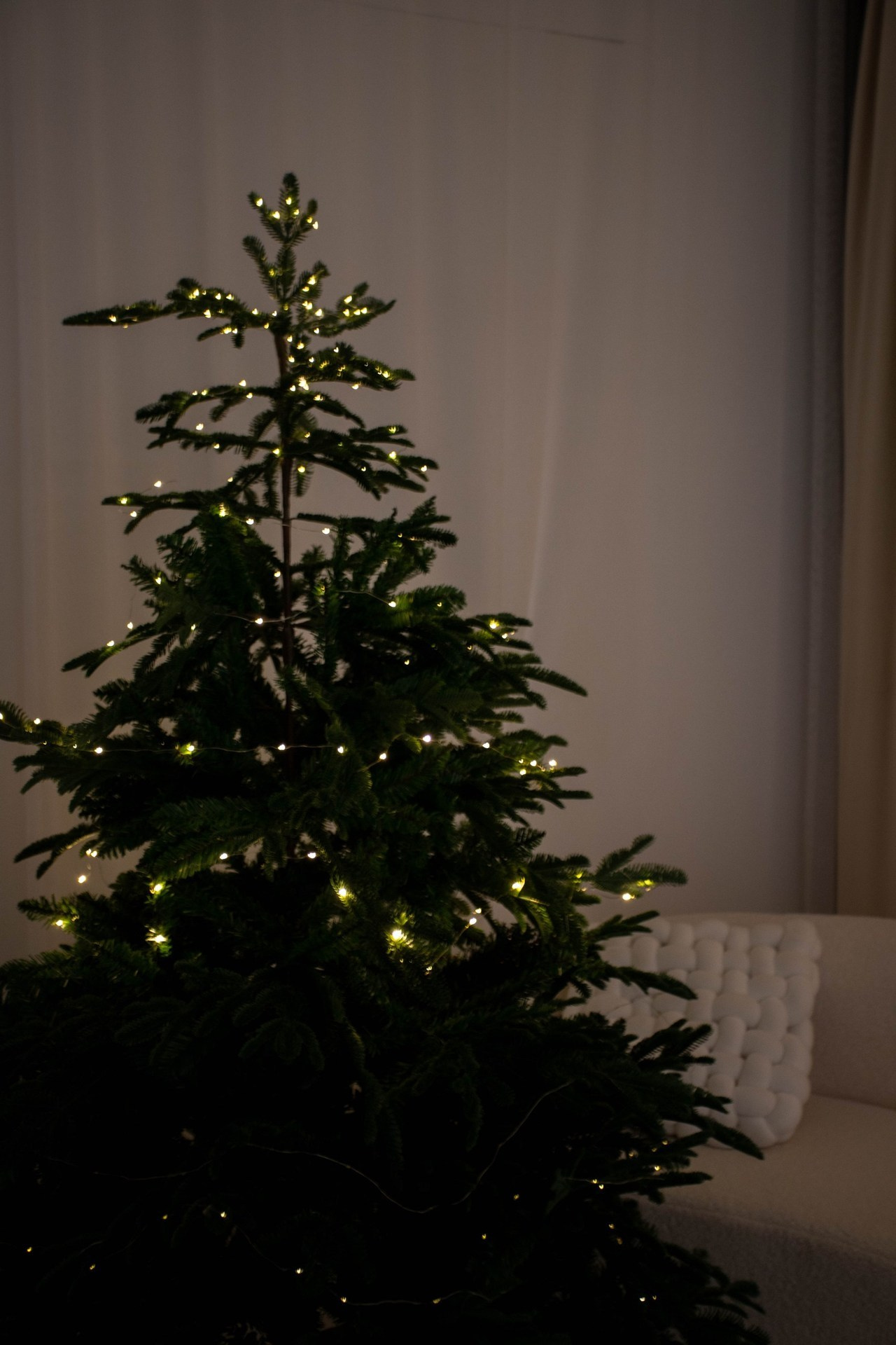 Отзывы. Фотограф — Анастасия Хохлачева