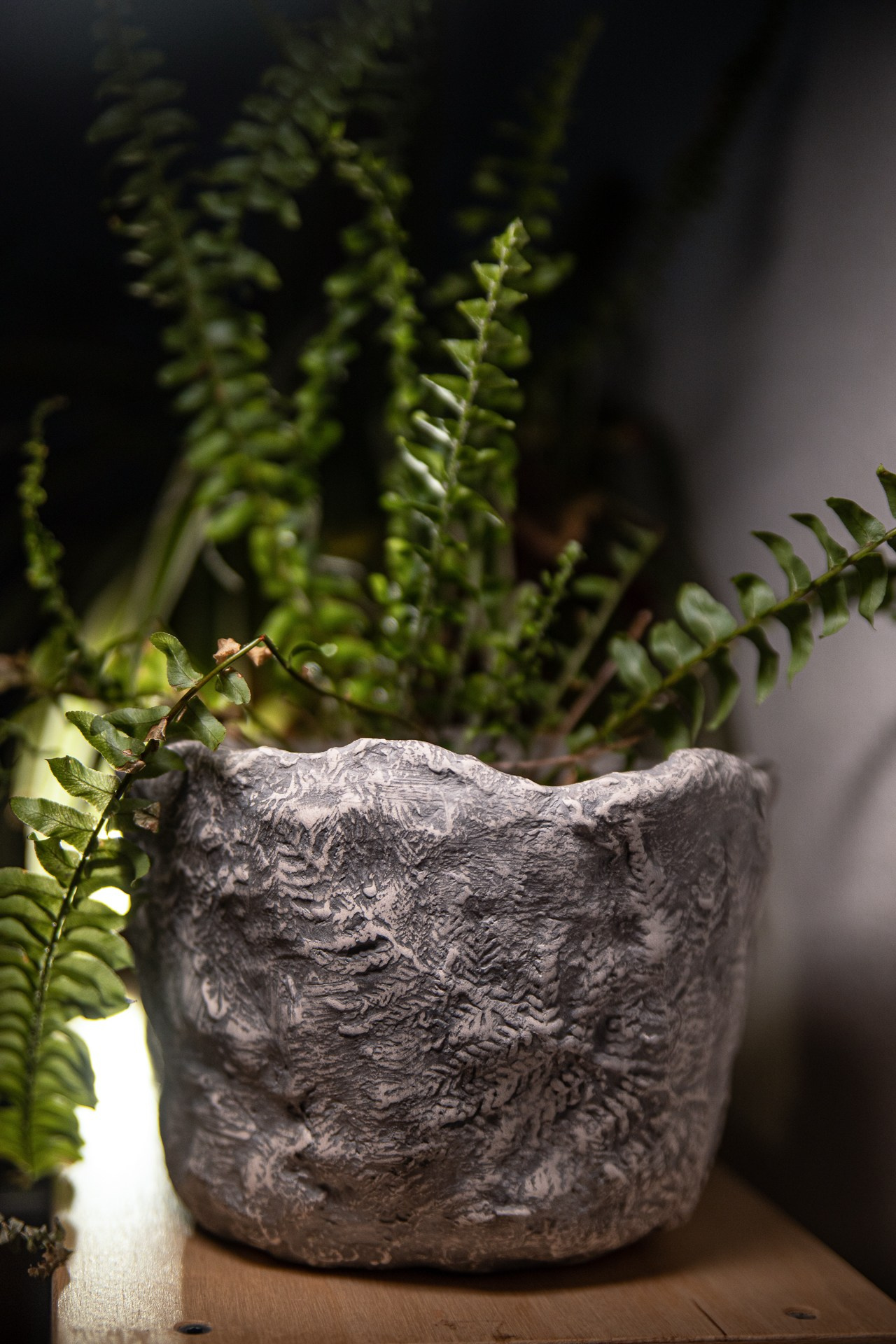 Кашпо «Папоротники» серое 2750 р. Катя Цвет