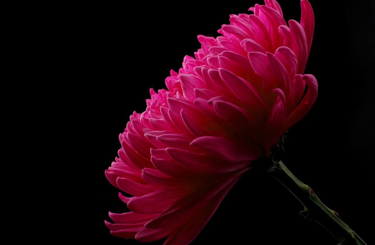 Предметы. Фотограф в Москве Юлия Майорова