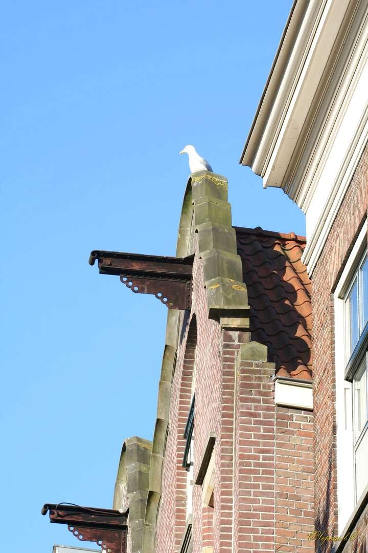 Франция 2009 г. Улица, люди, жизнь…