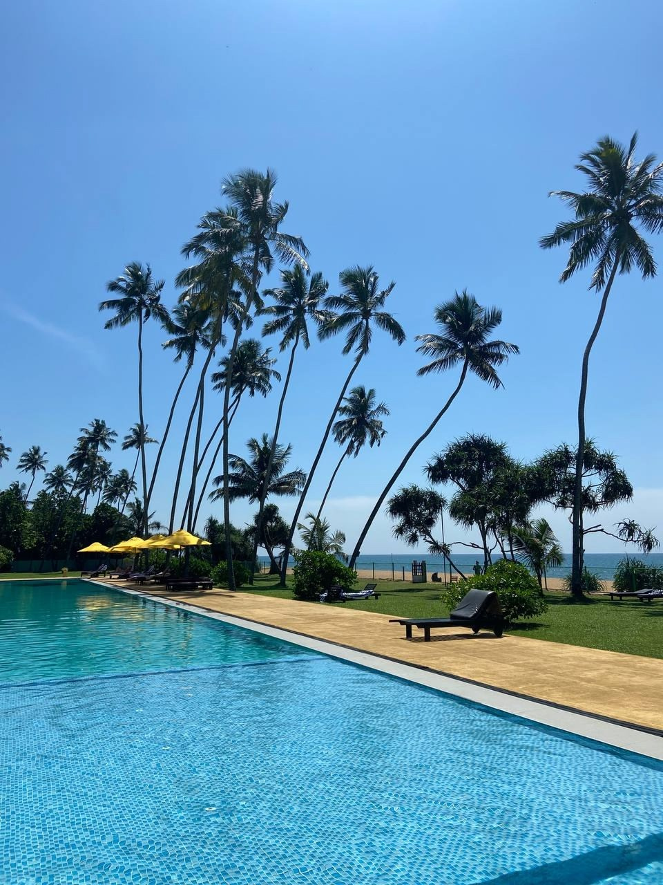 Шри-Ланка | 31.01 — 10.02.2025. Галерея Фантим