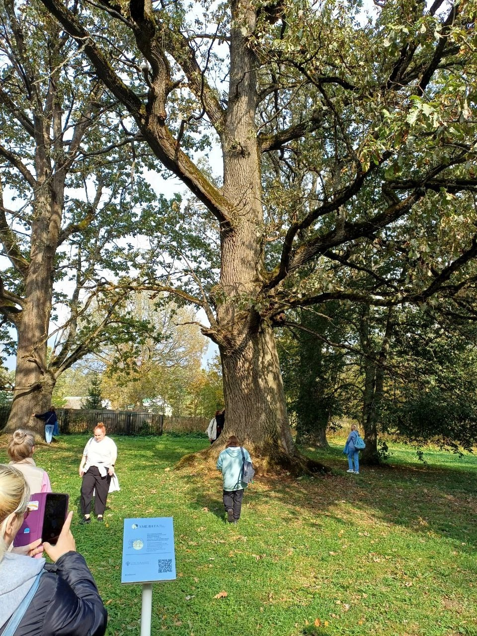 Вязьма. Экскурсионная поездка | 28.09.2024. Галерея Фантим