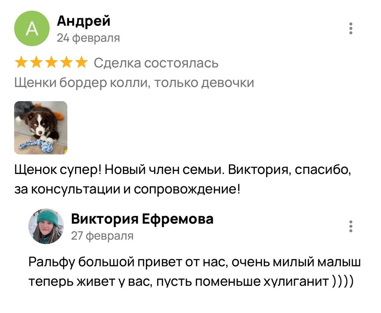 Фритсвит. Семейный фотограф Ефремова Виктория