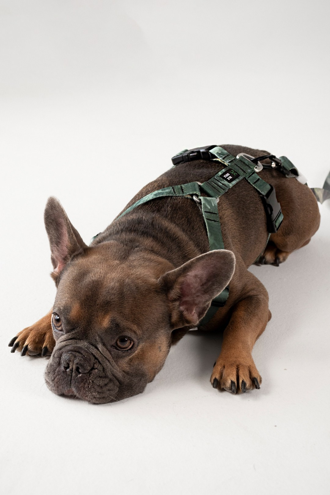 2ГИС & staya. Романова Александра фотограф в Москве