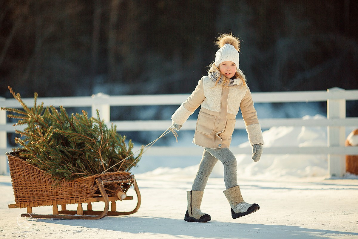 Зимняя прогулка. Фотоотчет с мк в Ярославле