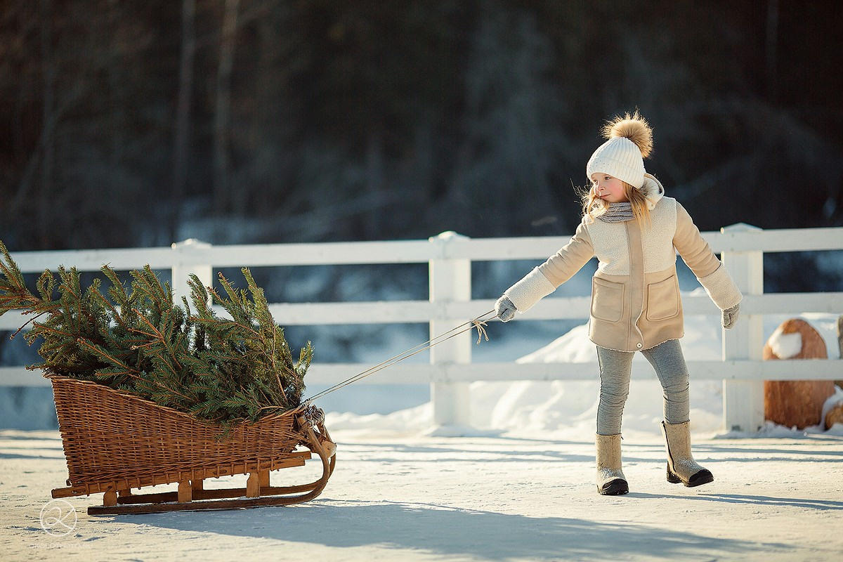Зимняя прогулка. Фотоотчет с мк в Ярославле