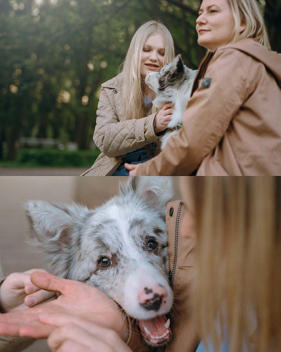 Света, Катрин и Умка. Фотограф анималист в Москве и Санкт-Петербурге Свиридова Анна
