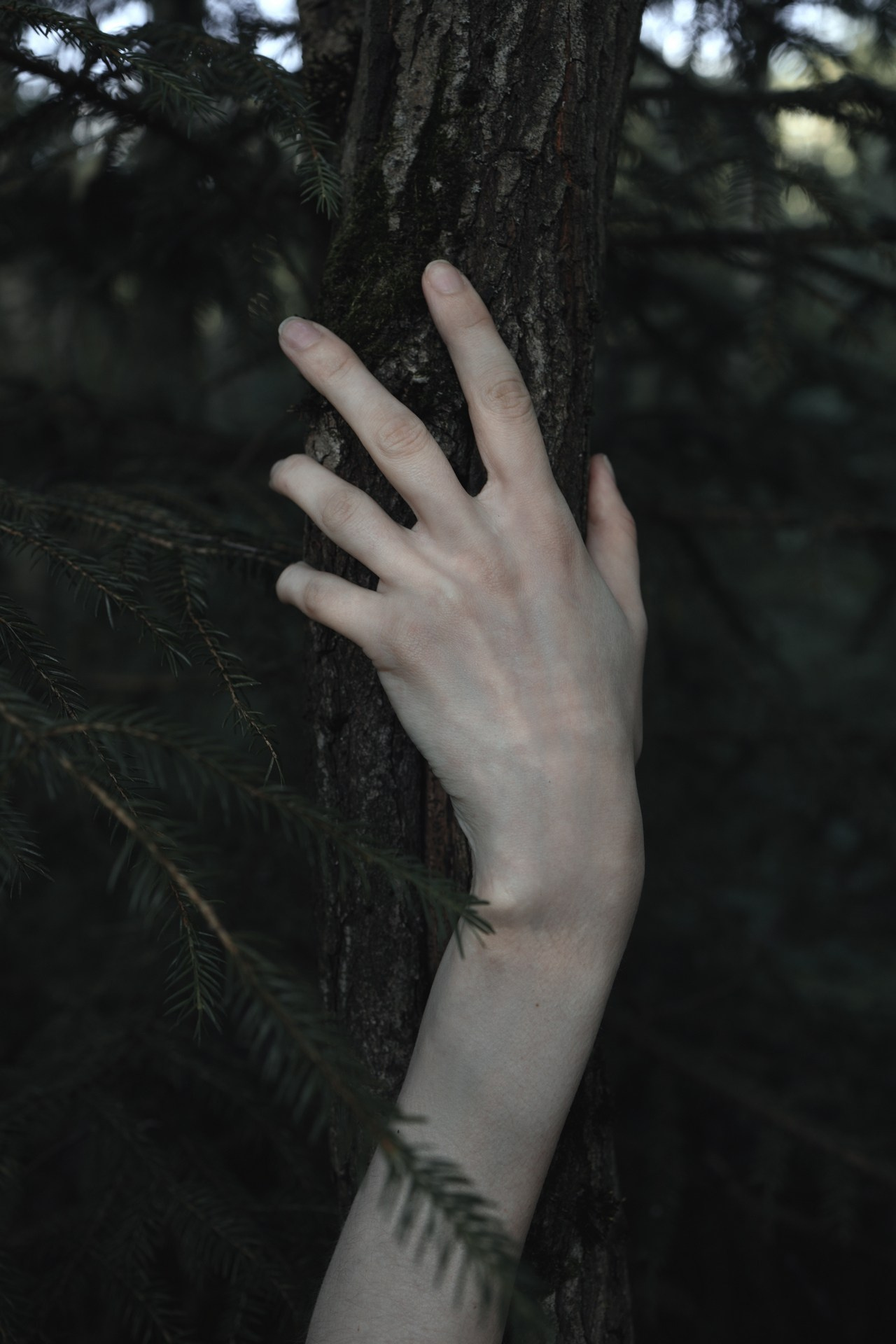 Арт-фотограф. Coffelisk