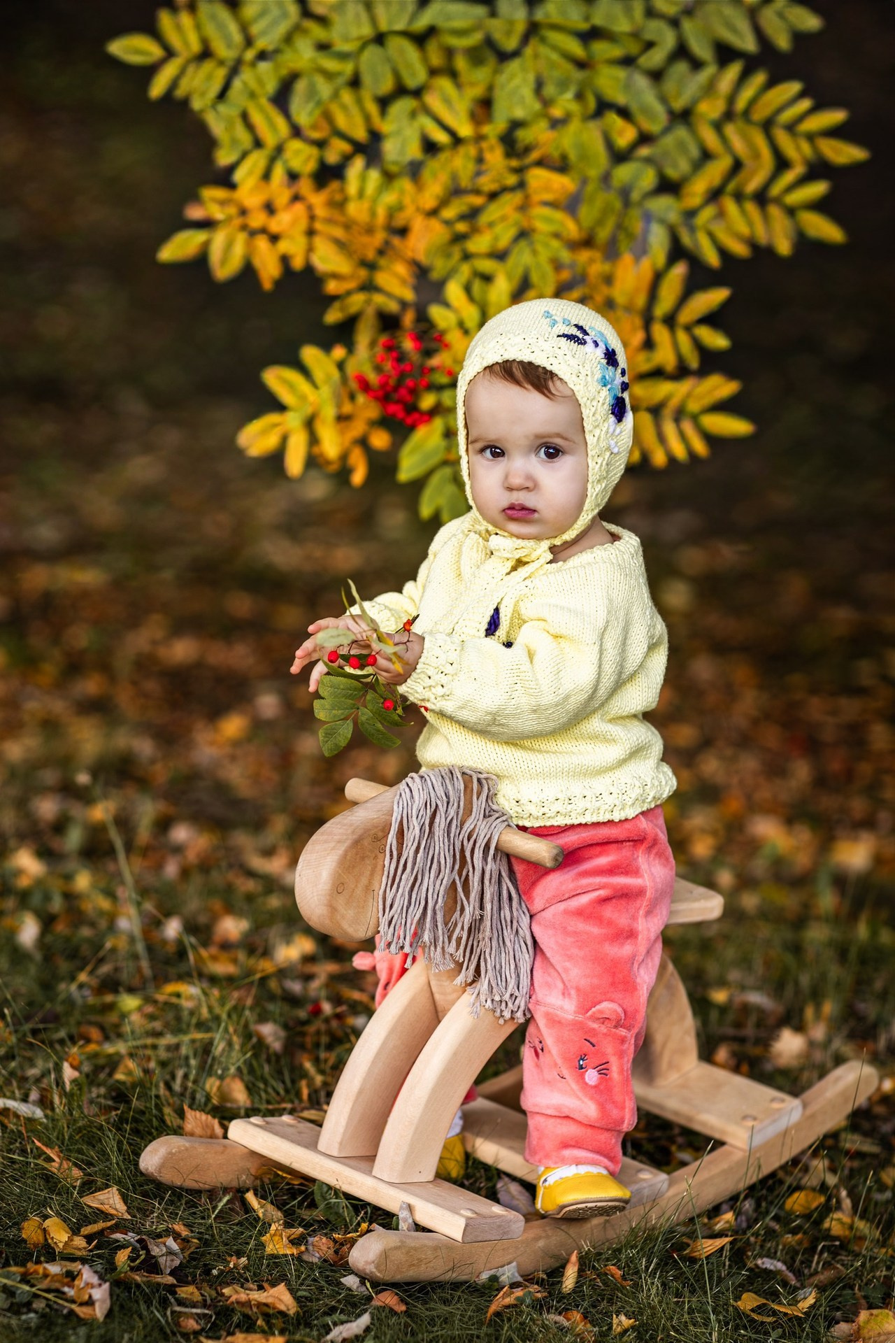 Осенние. Фотограф Елена Вишневская (Ушакова) Нефтеюганск, Сургут, Тюмень