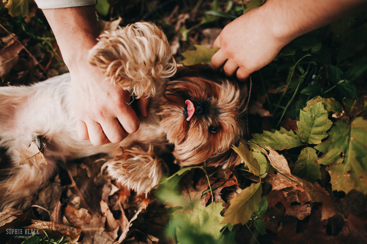 Попутный ветер. Соня Черных (sophieblack)