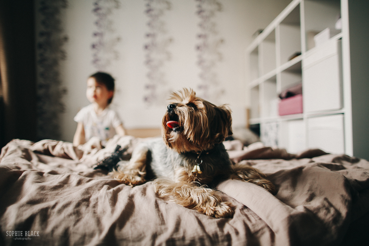 Попутный ветер. Соня Черных (sophieblack)