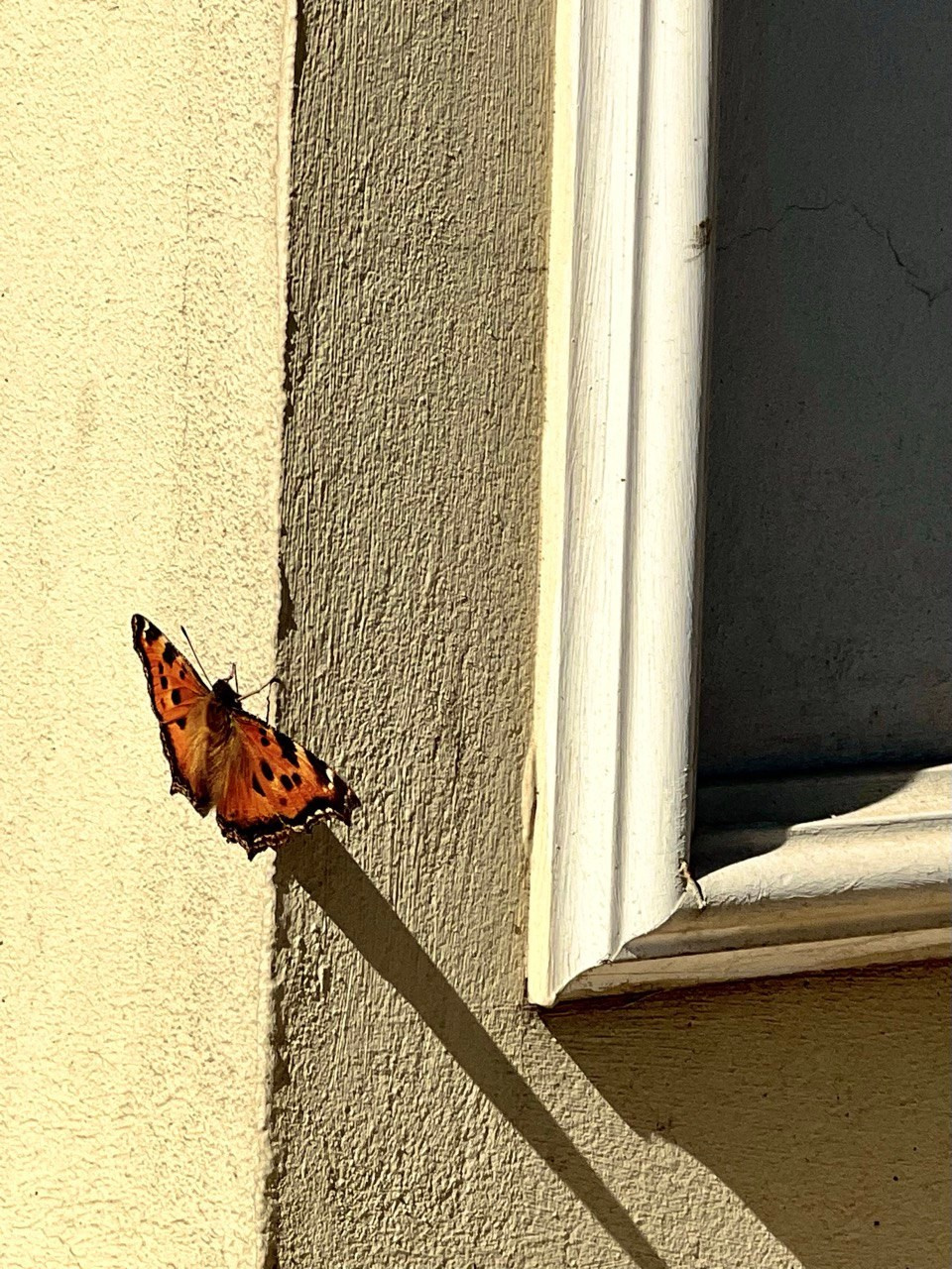 2022. Марфин. Фотограф