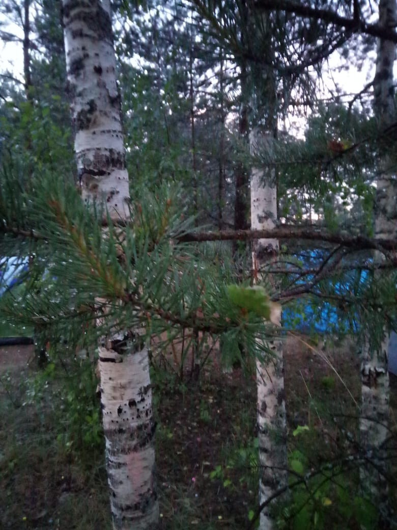 Походная романтика 27! Under Funny Rodger | 22-24.06.2018. Галерея Фантим