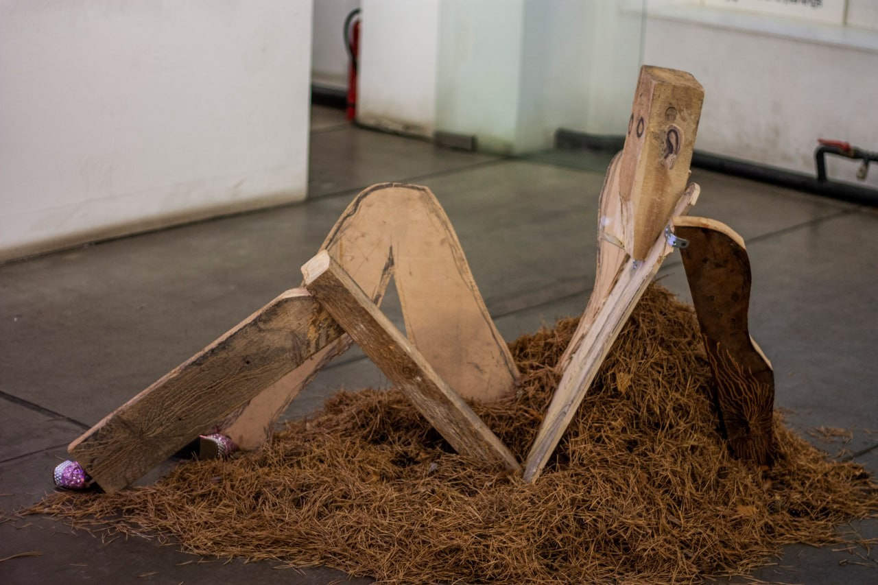 Я хочу как хочу, художница Софья Григор, современное искусство, объект