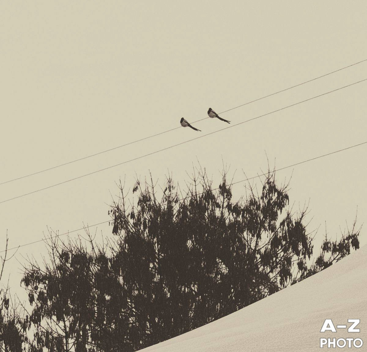 #ФОТОНЕДЕЛИ 02.02.2026. Женский семейный фотограф Тула Москва Захарова Анна