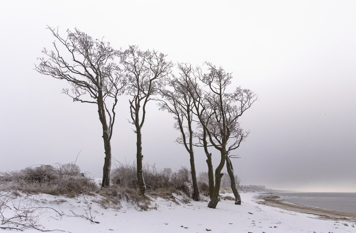 Фотовыставка «Взгляд». Фотограф Юлия Близнецова