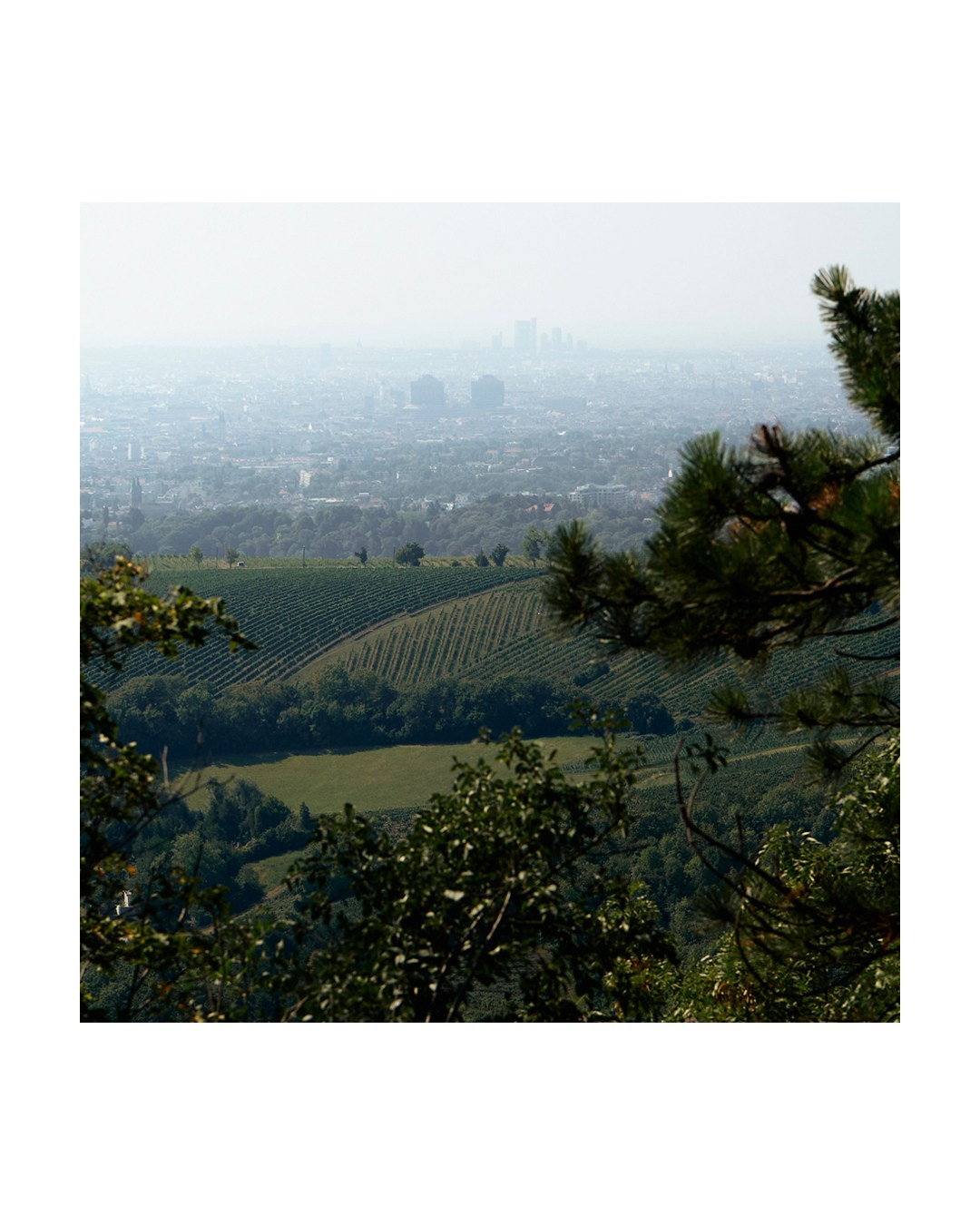 Пейзаж. Сюжетный и репортажный фотограф, Миша Муромцев