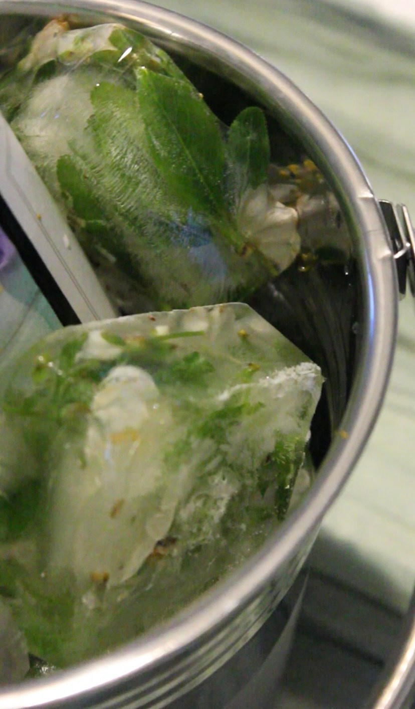 Декорирование. ЛЮБИМЫЕ ЦВЕТЫ