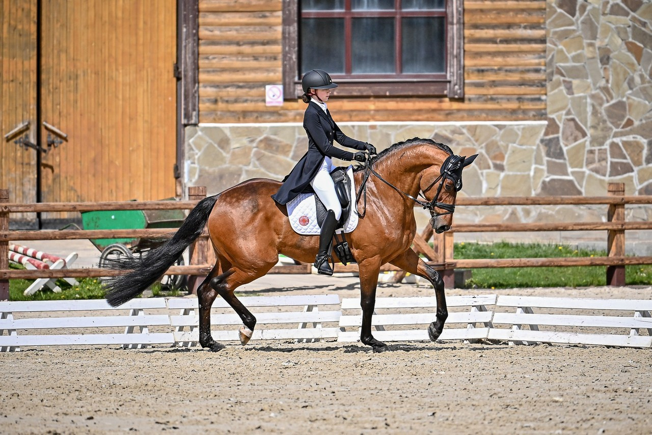 Отзывы. ТУРНИРНАЯ КОННАЯ ФОТОГРАФИЯ, Руднева Ольга и Евгений Адеев