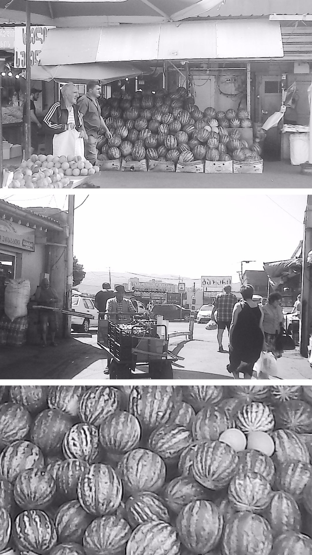 «Крошка 🐣». Anita_photo