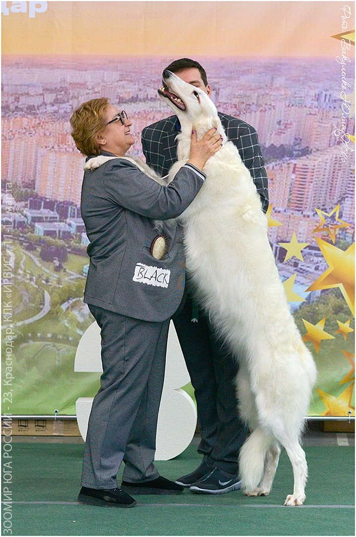 Репортаж. Фотограф анималист | семейный Юлия Вакуленко, г. Краснодар