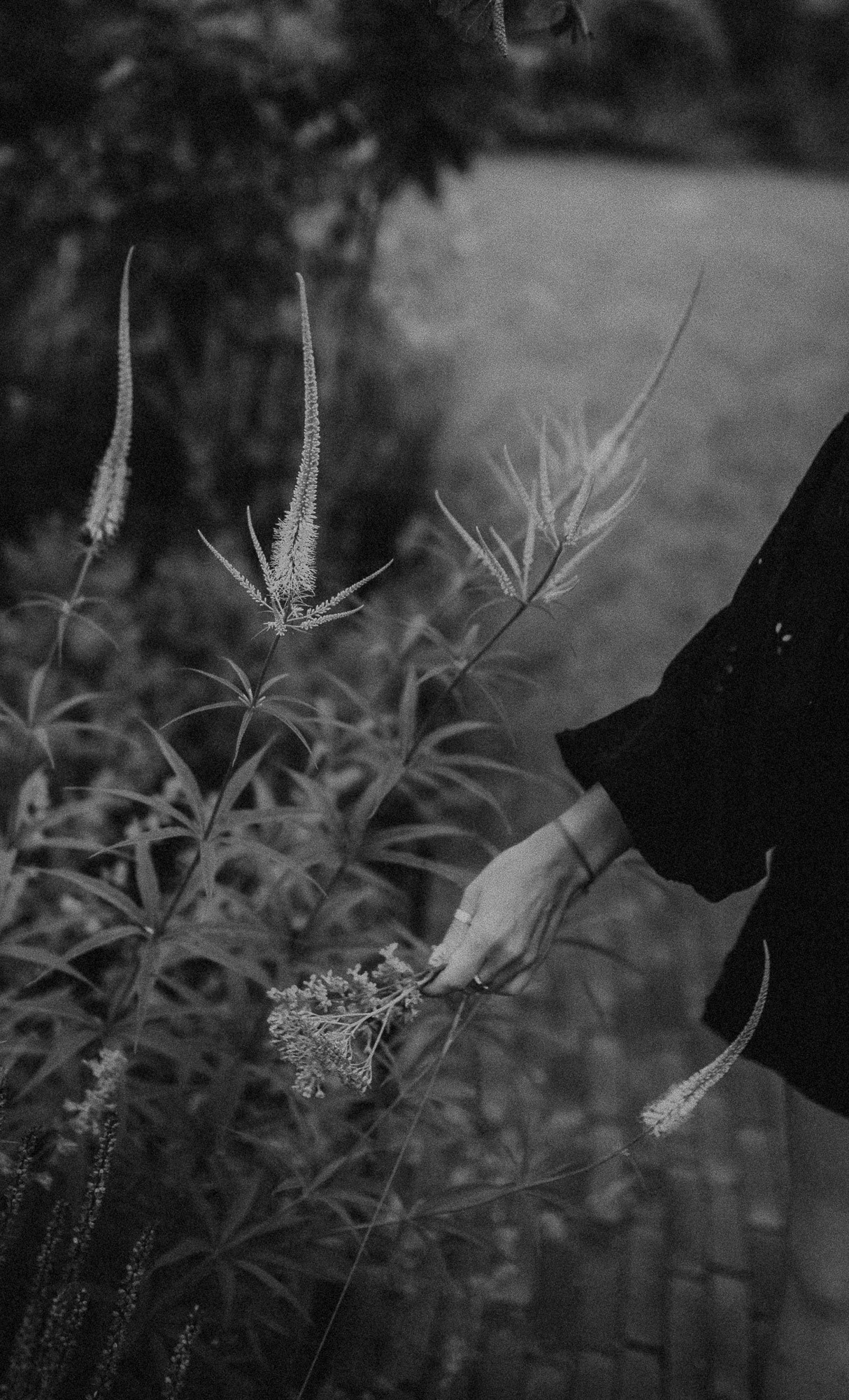 Индивидуальная съемка. Детский семейный фотограф в Москве Евгения