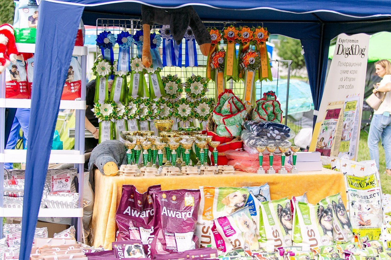 Отзывы. Школьный фотограф в Туле Светлана Привезенцева