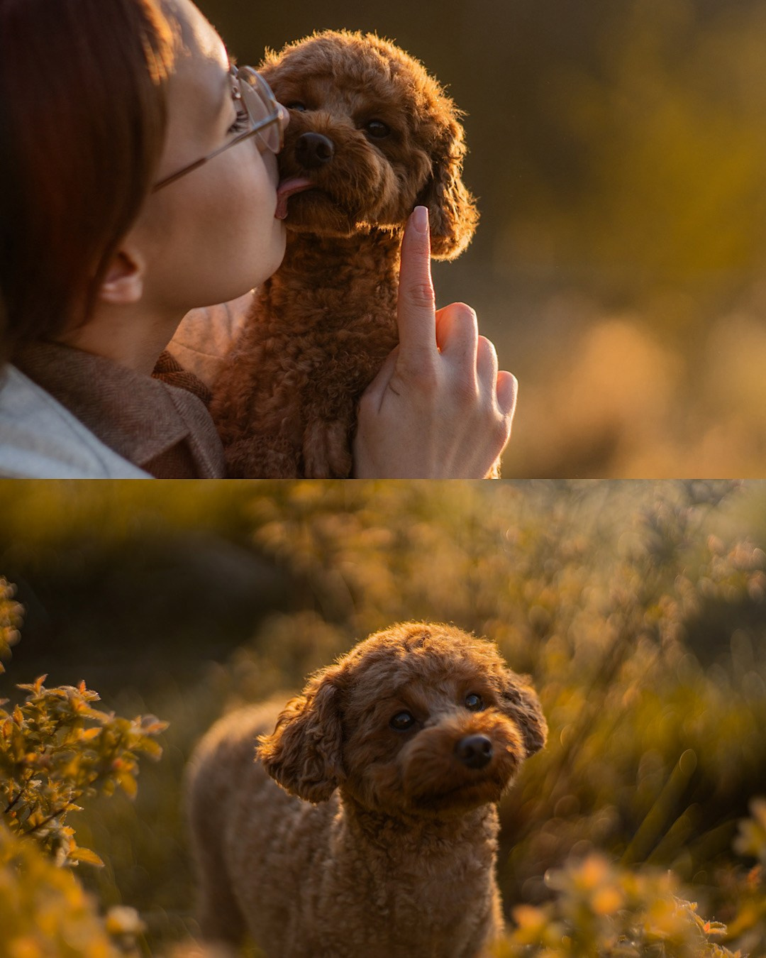 Лия и Чарли. Фотограф анималист в Москве и Санкт-Петербурге Свиридова Анна