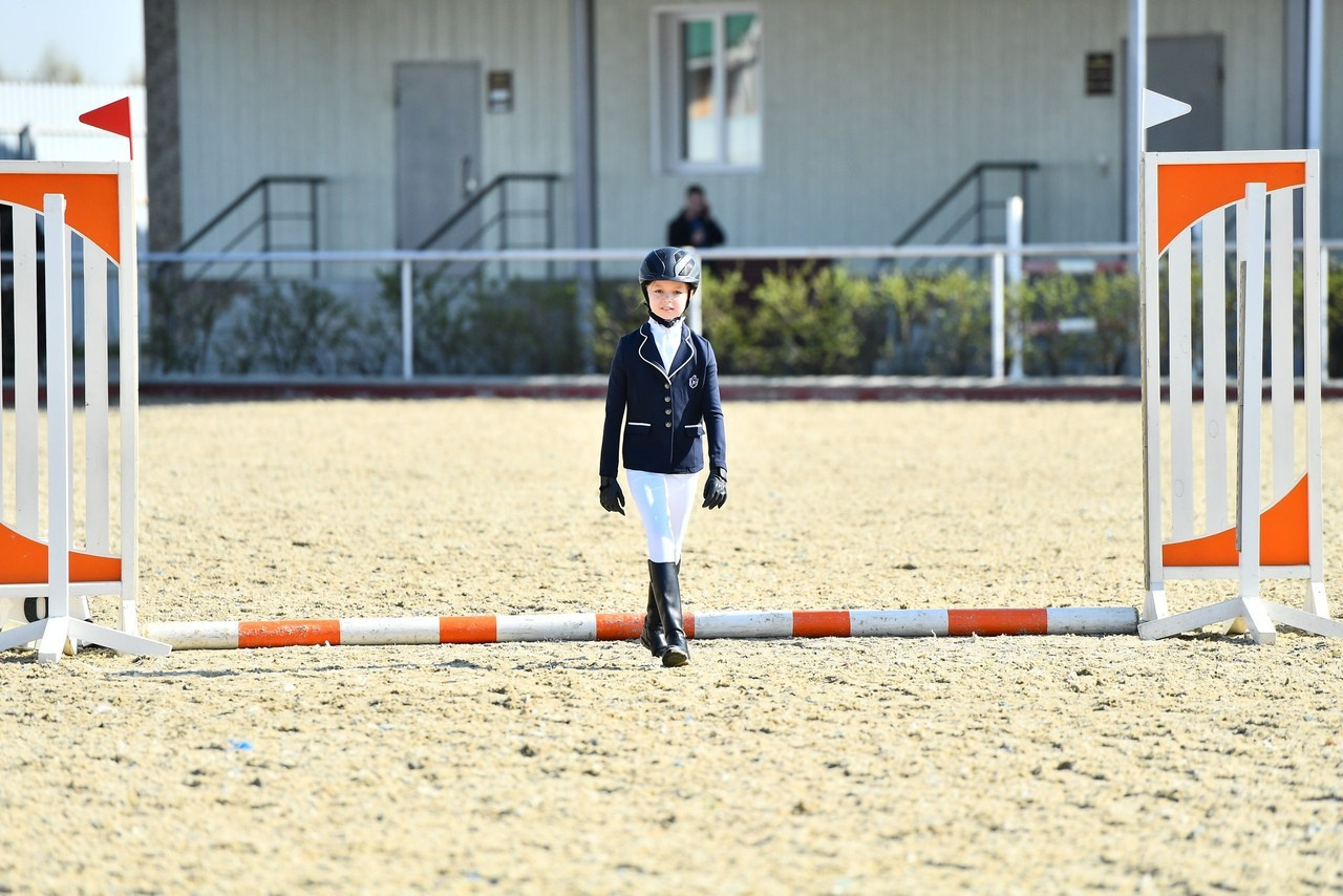 Отзывы. ТУРНИРНАЯ КОННАЯ ФОТОГРАФИЯ, Руднева Ольга и Евгений Адеев
