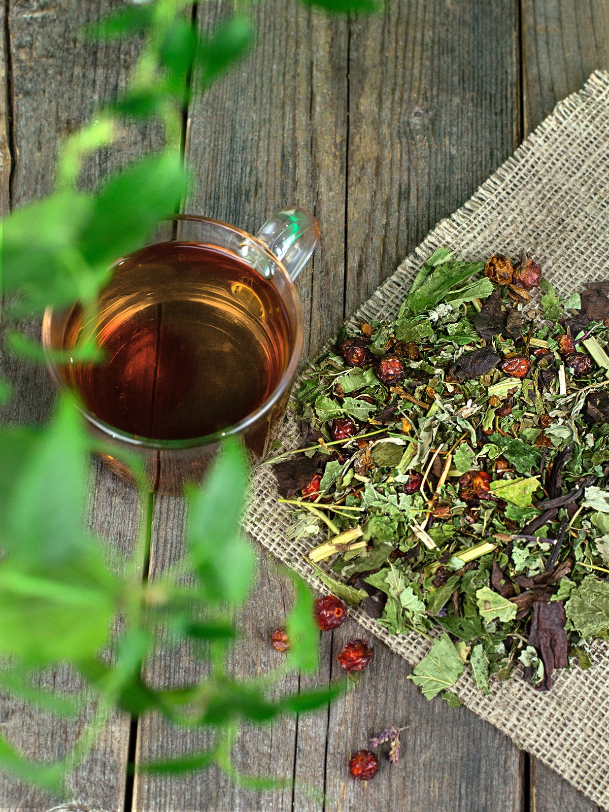 Фотограф СПб Юлия Ерошевская, предметный фотограф