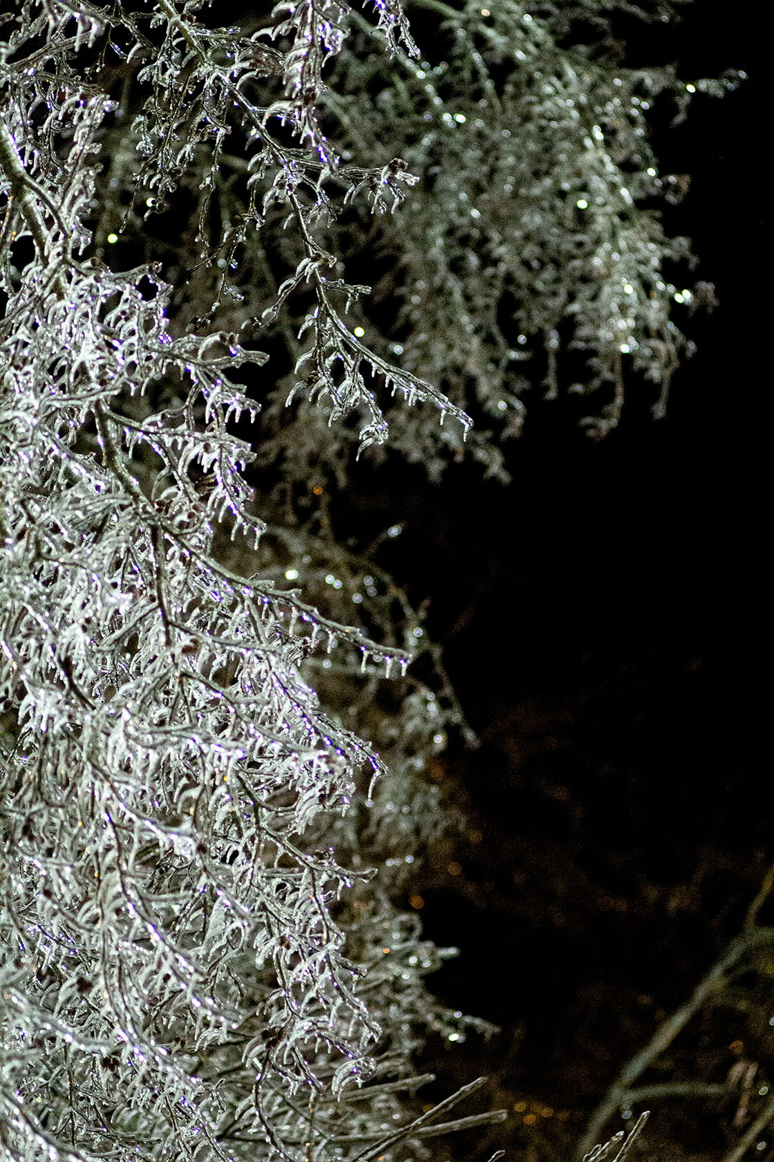 Ледяной дождь. Природа севера