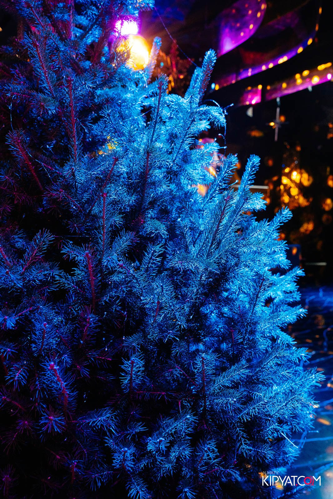 MOOD KARAOKE & TERRACE. КИПЯТКОМ АЛМАТЫ!