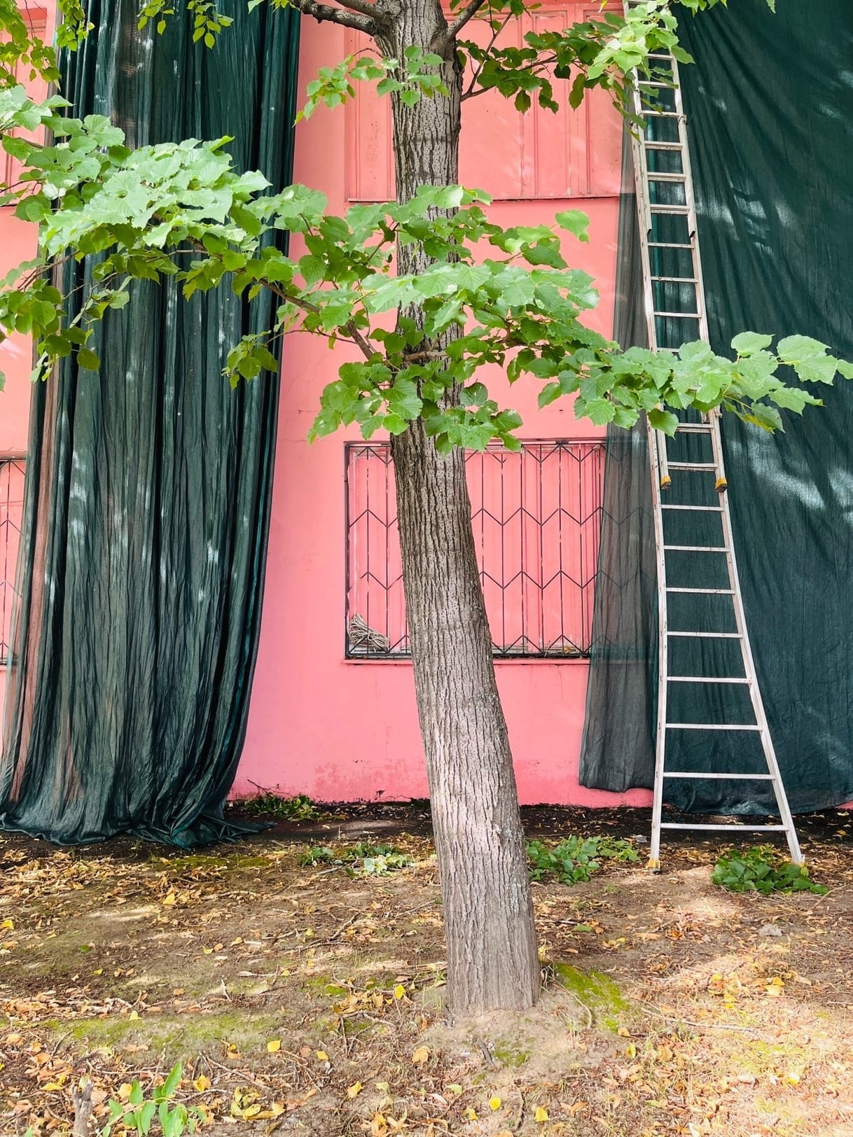 Мобилография. Художественная фотография. Фотография на плёнку. Илья Вараксин