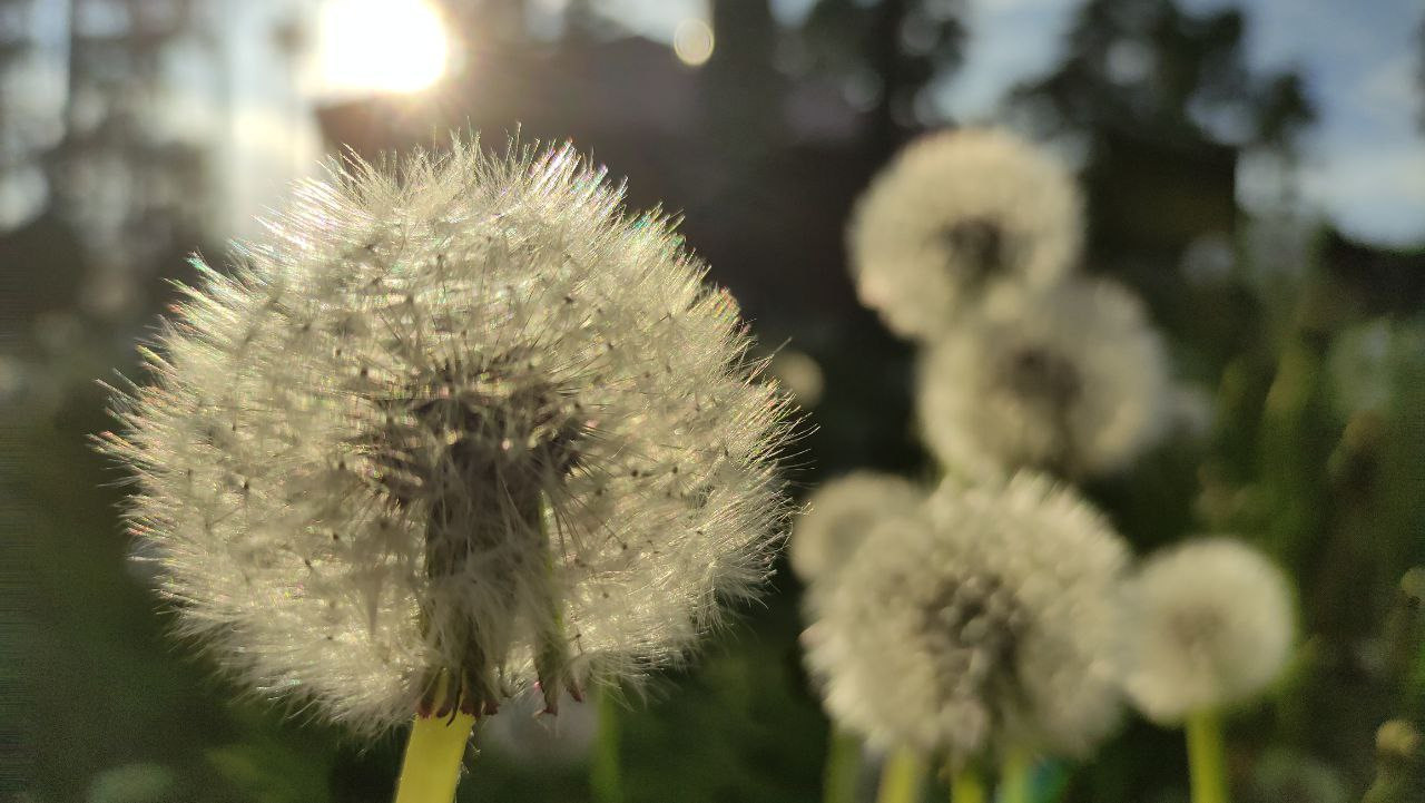 Мобильная съемка. Матвей Лебедев: фото и видео, сайты. Москва, Жуковский, Малаховка